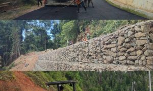 InShot_20251113_225203440